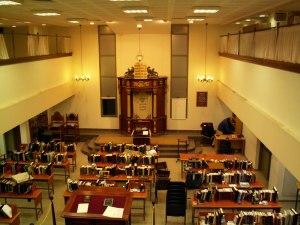 Boaz Gabriel Canhoto [CC BY (https://creativecommons.org/licenses/by/3.0)]